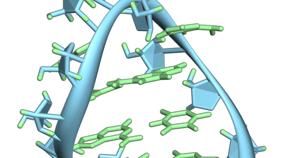 RNA-only repair enzyme reveals how primordial life could have protected genomes