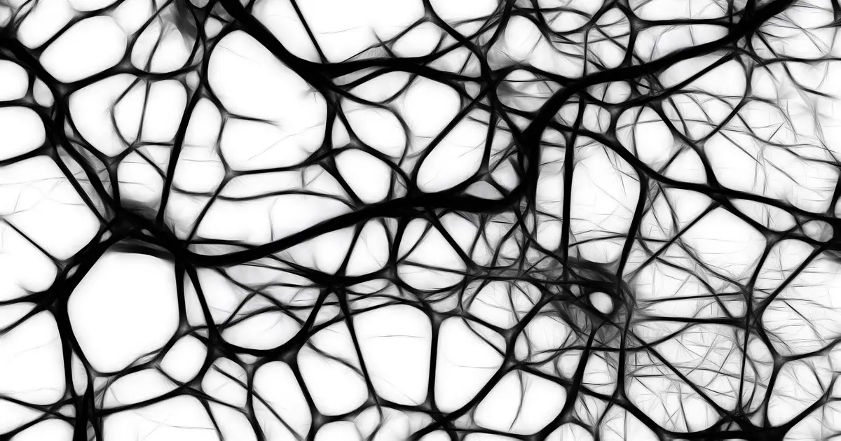 Brain tissue removed during surgery reveals potential way to curb inflammation linked to Alzheimer's