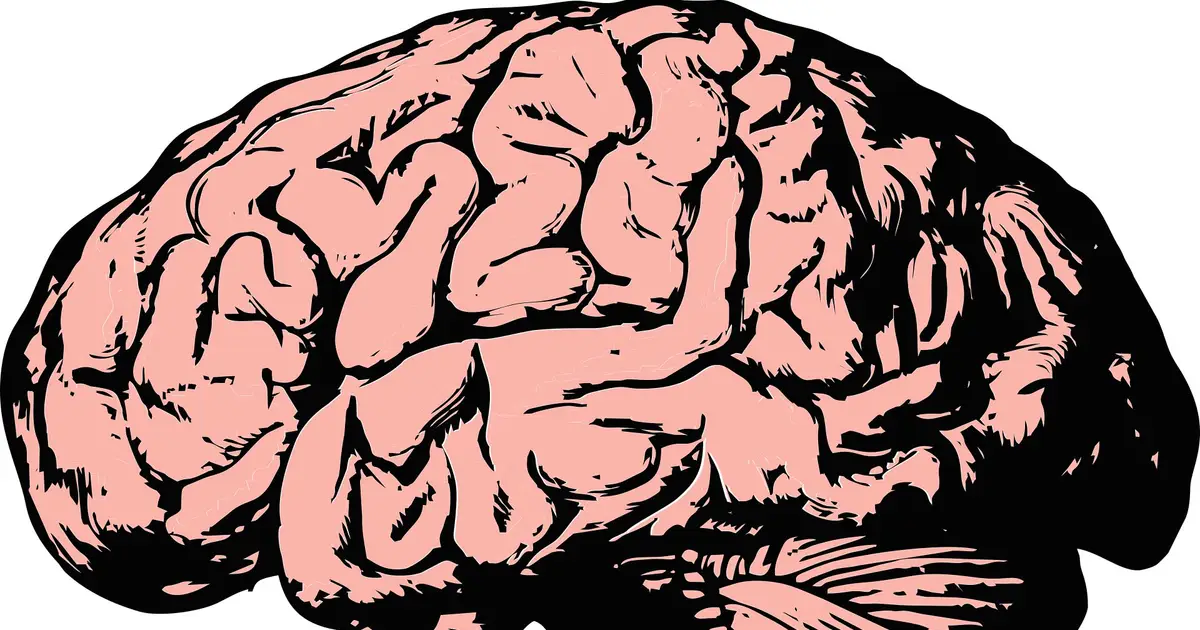 Brain's immune cells put the brakes on out-of-control circuits in mouse model of Alzheimer's disease