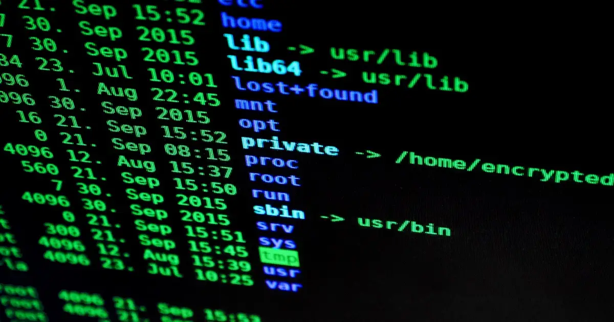 From exporting spyware to surveilling activists—how democracies became the new digital authoritarians