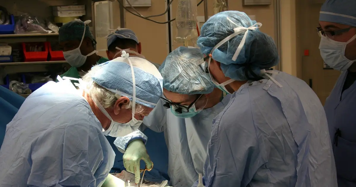 Tegoprubart preserves kidney function better than tacrolimus in first-time transplant patients, trial suggests