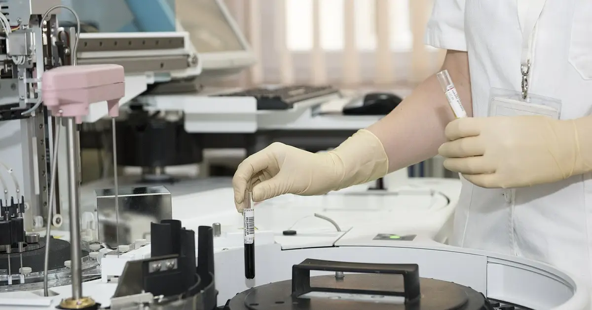 Student research shows positive outcomes from summer research program