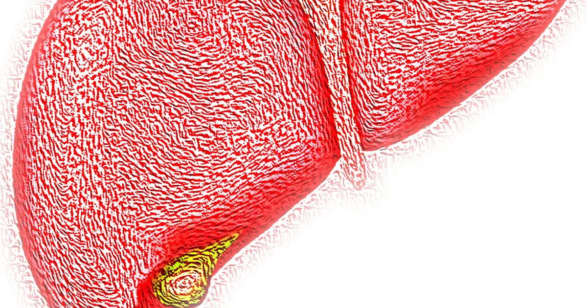 Appetite-suppressing hormone may protect liver from inflammation through newly discovered signaling pathway