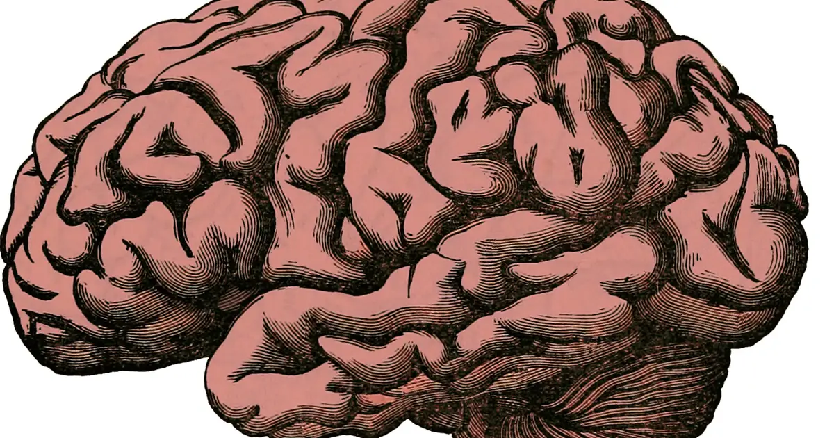 One in four adults has metabolic syndrome, and it may be aging their brains