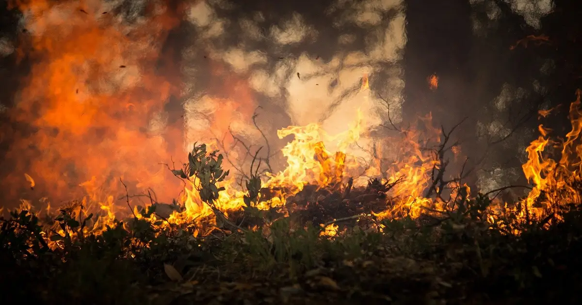 Borneo forest fires spike again: Why El Niño isn't the sole culprit