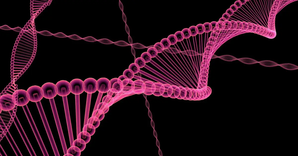 Hidden mitochondrial genes emerge as mealybugs encode two genes on one DNA stretch