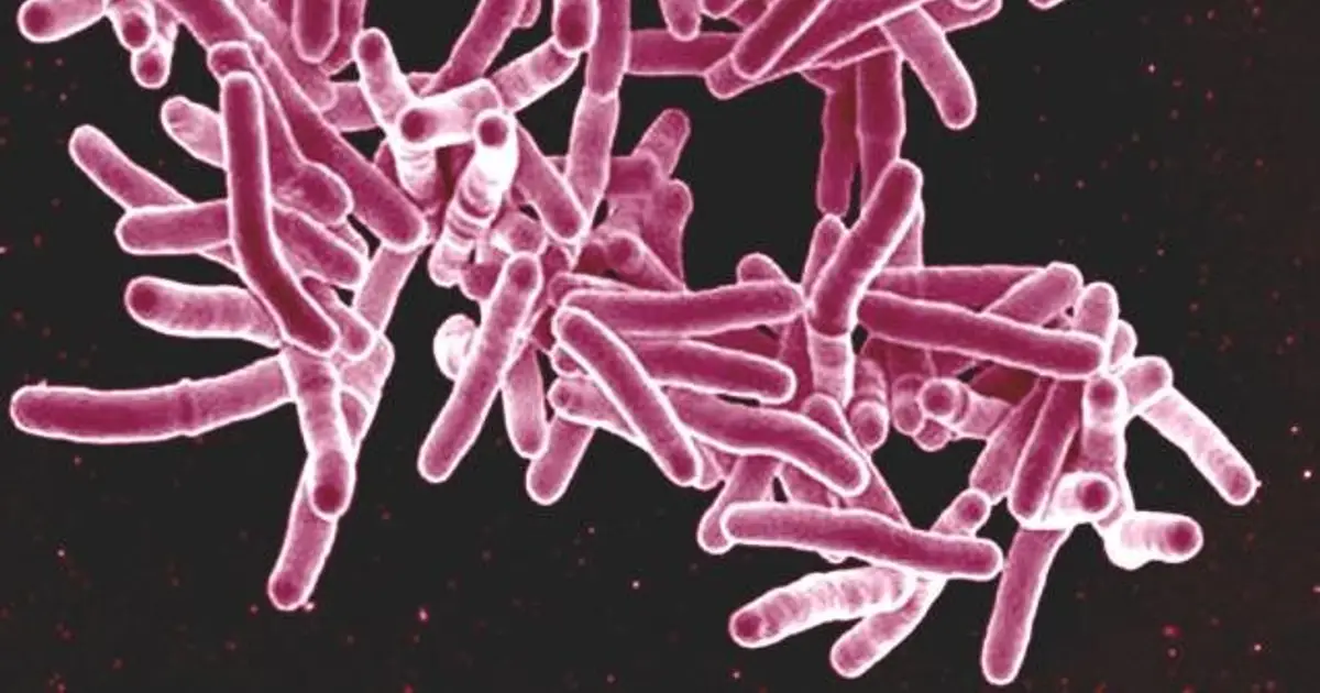 Airborne tuberculosis bacteria may mutate as they dry, revealing a target to curb drug resistance