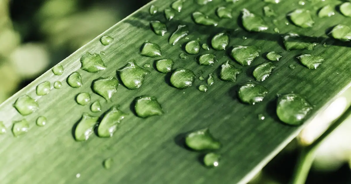 The sun's outbursts may briefly weaken rain and snow events across North America