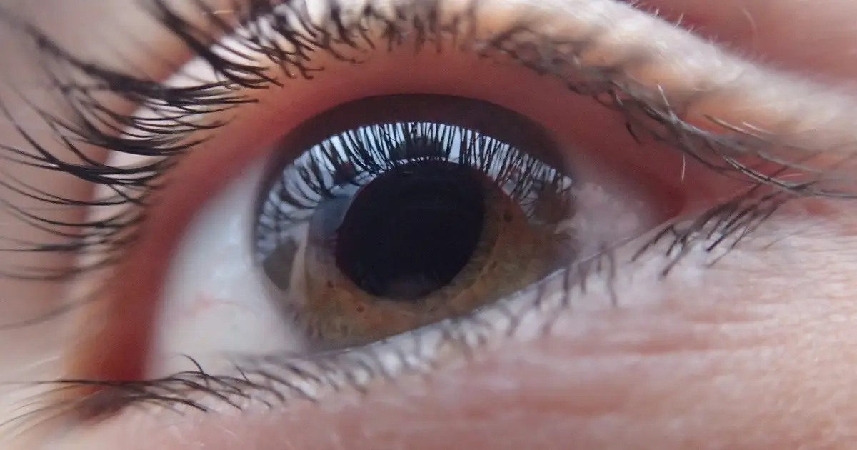 Magnesium may guard vision, but timing and concentration narrow the therapeutic window