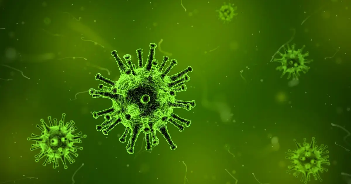 Outbreak in DR Congo 'intensifying': WHO