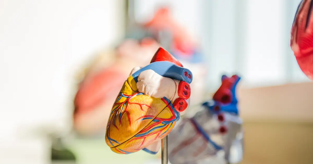 Eplontersen trial fails to meet primary endpoint in transthyretin-mediated amyloid cardiomyopathy