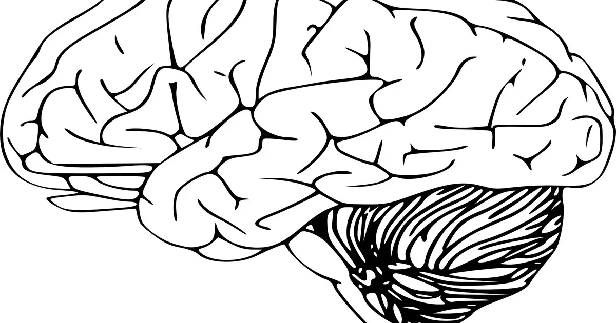 Brain maps reveal first lifetime white matter growth charts from birth to 100