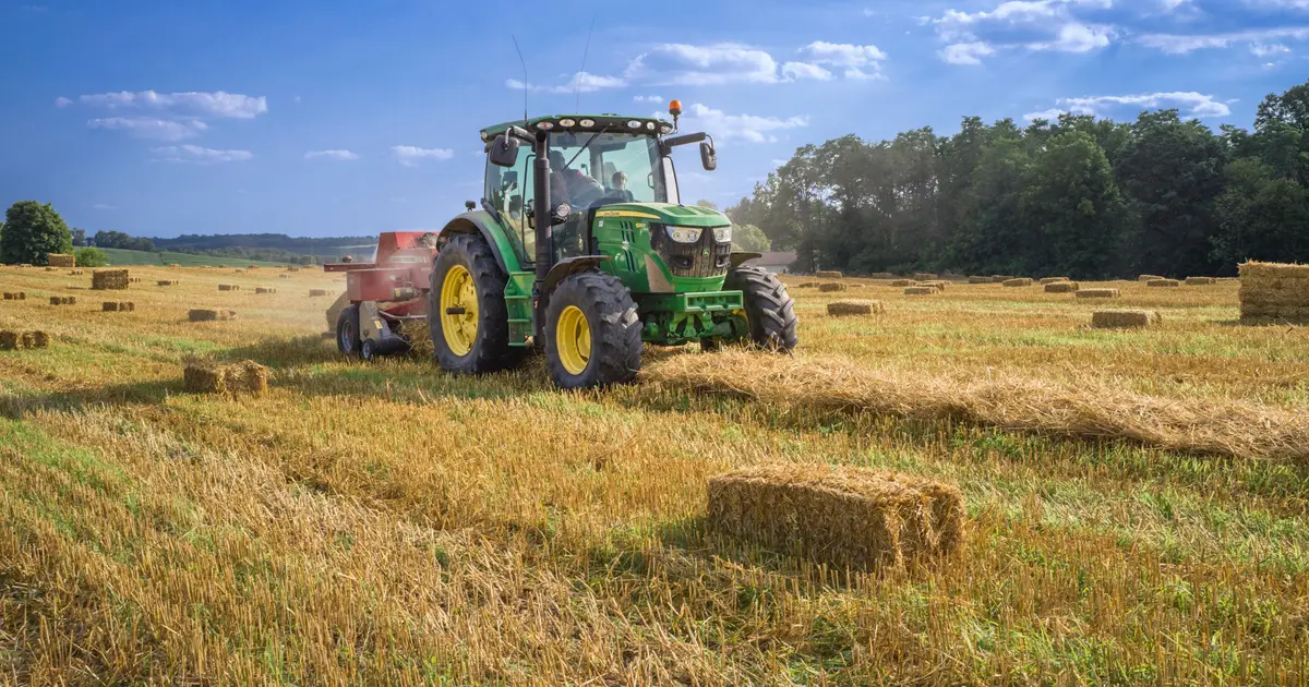 Drought-hardy ryegrass raises new weed management challenge
