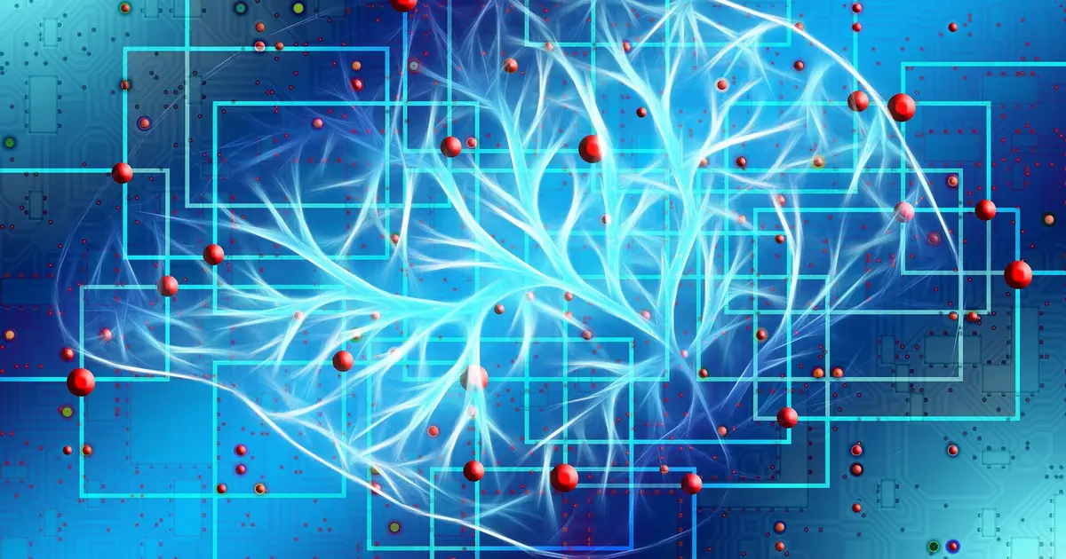 Researchers identify specific brain circuits associated with anxiety in adolescents