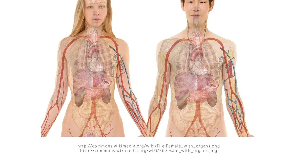 New findings overturn 100-year-old assumption about common bacteria in the lungs