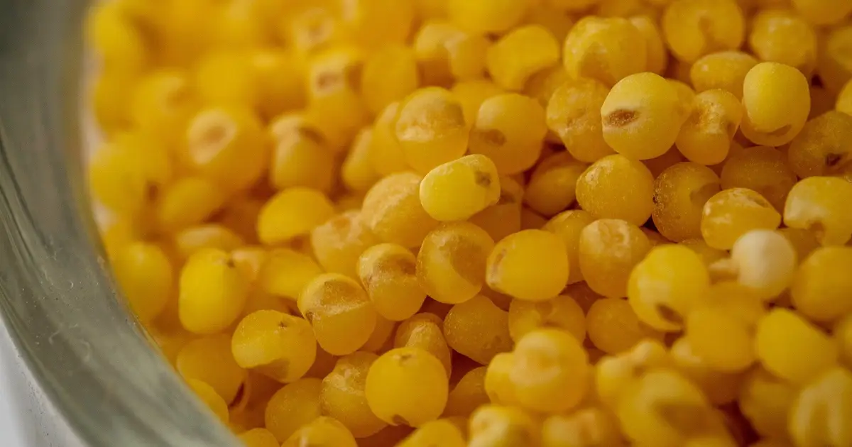 Supercharged millet could help children's gut health without usual supplement side effects