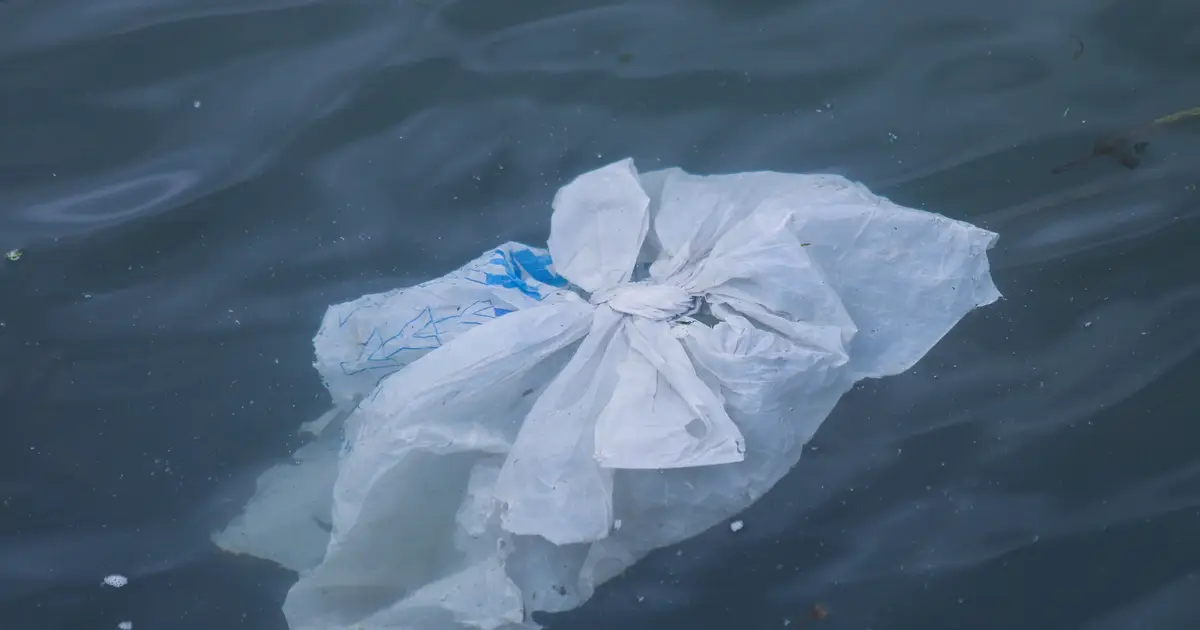 Review of studies on single-use plastics reveals broader circular economy approach is needed