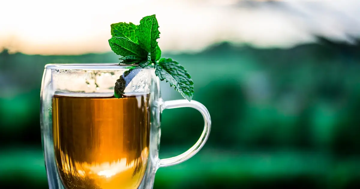 Can drinking tea help protect against cardiovascular disease?