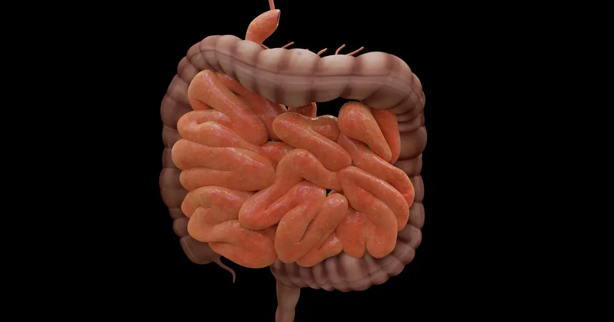 Immune changes emerge up to 10 years before inflammatory bowel disease diagnosis