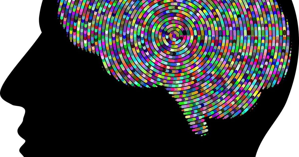 Researchers highlight how brain economy principles could transform clinical care