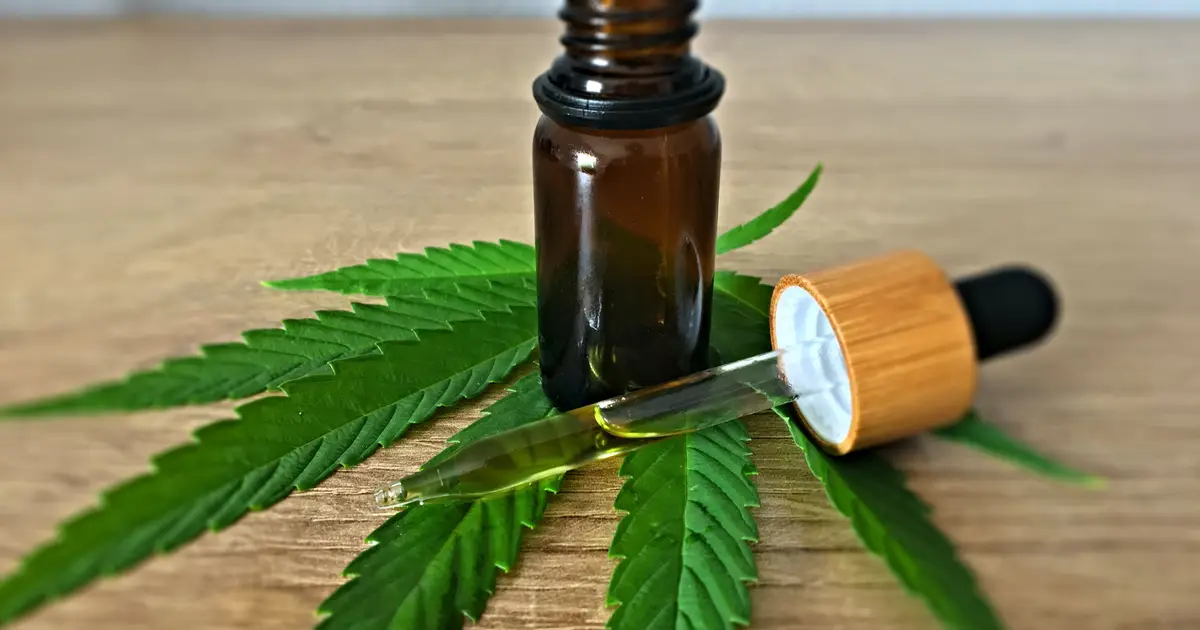 CBD may fall short in treating alcohol use disorder, despite promising animal studies