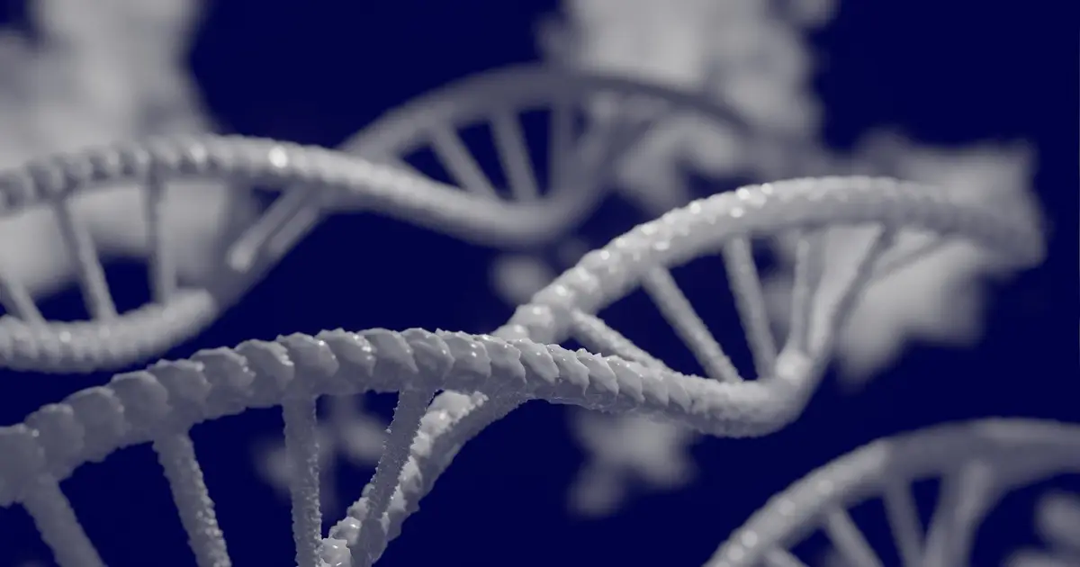 Study reveals how networks of switches in DNA, which regulate gene expression, drive cancer growth