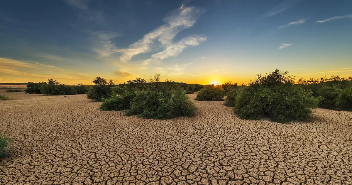 Droughts can boost inclusive institutions, social unity