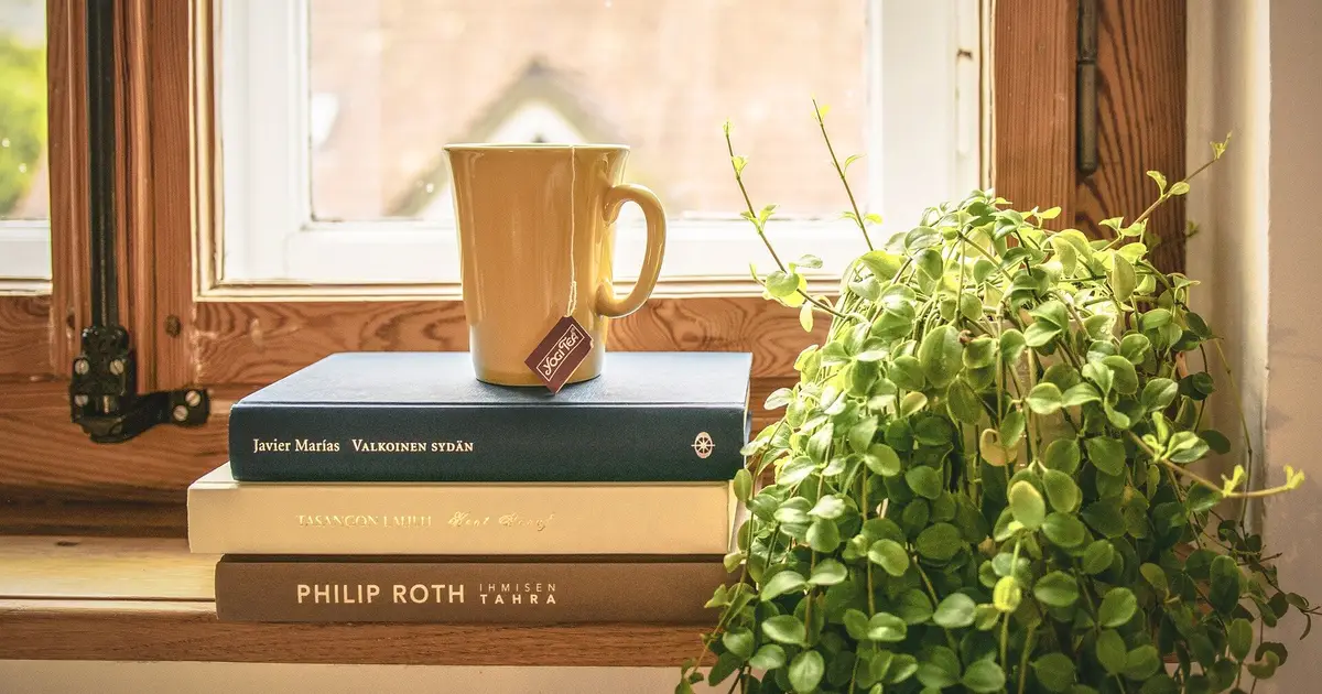 Can houseplants really purify the air in your home? What the science actually says