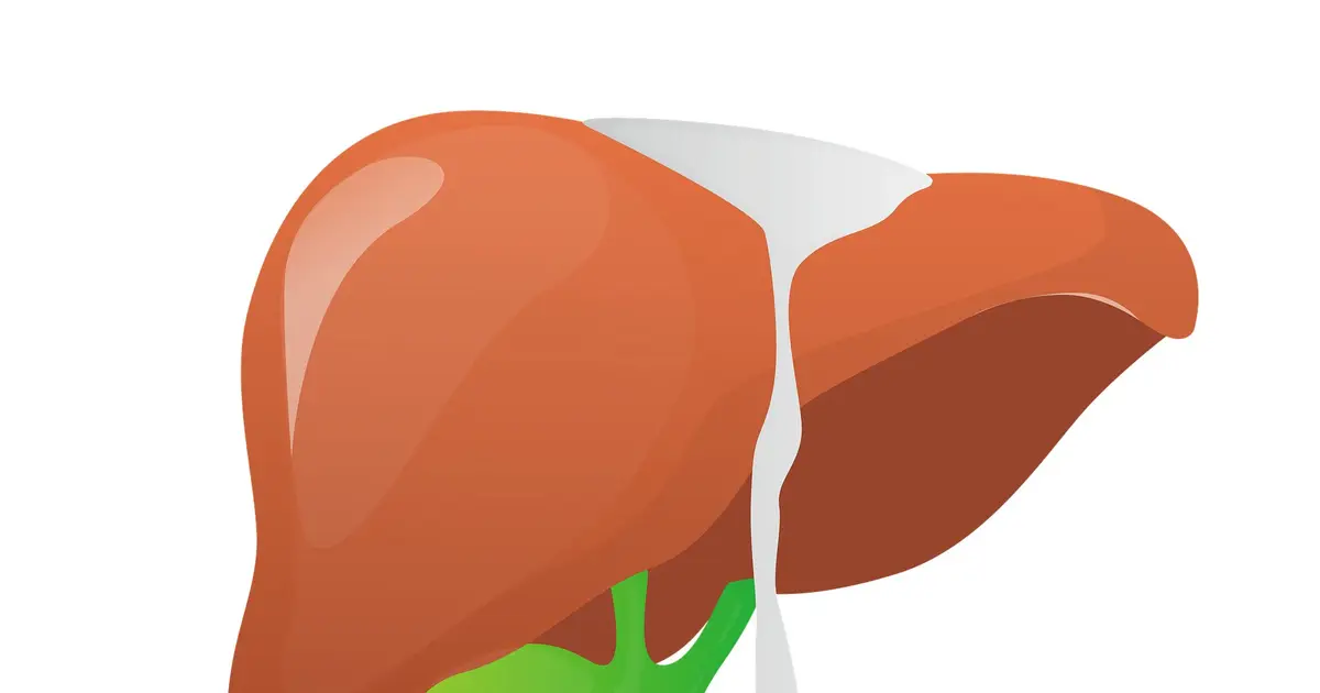 Spain's liver transplants now generate more economic value than they cost, study says