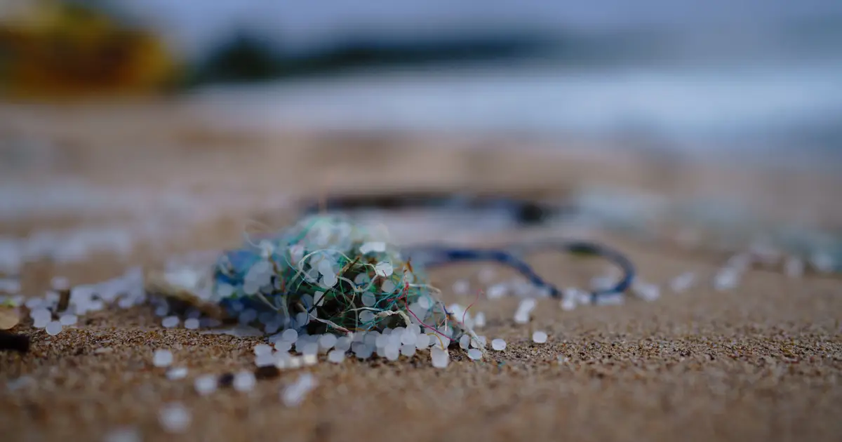 Rivers may be carrying more microplastics into the world's oceans than previously thought