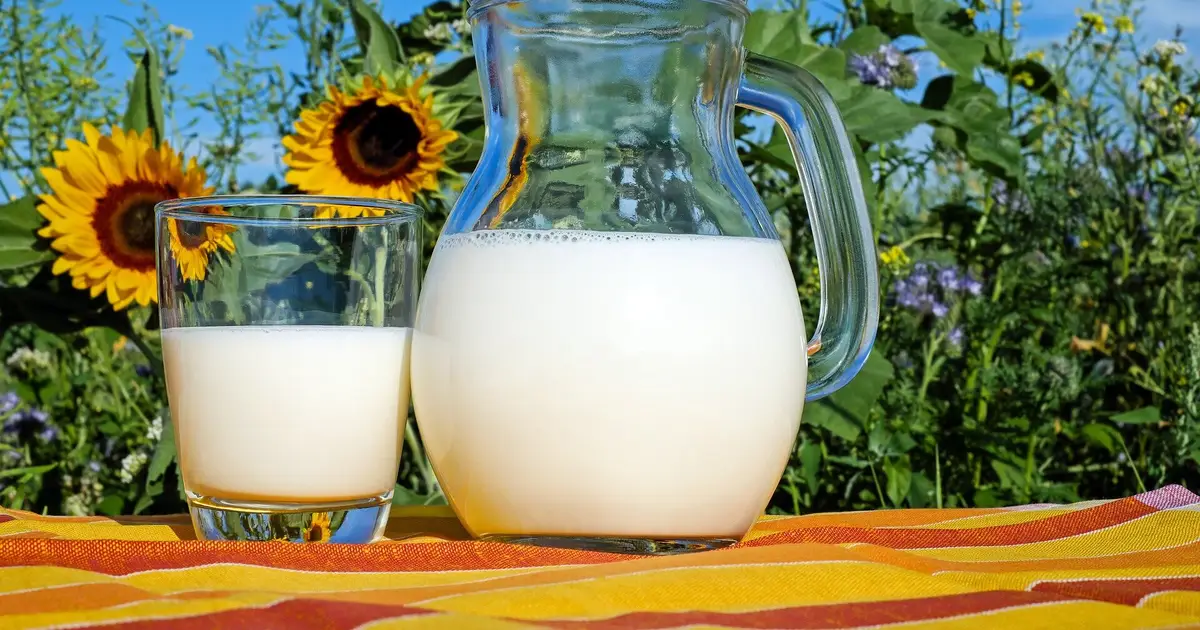 Cows' diets influence omega-3s and other fatty acids, study shows