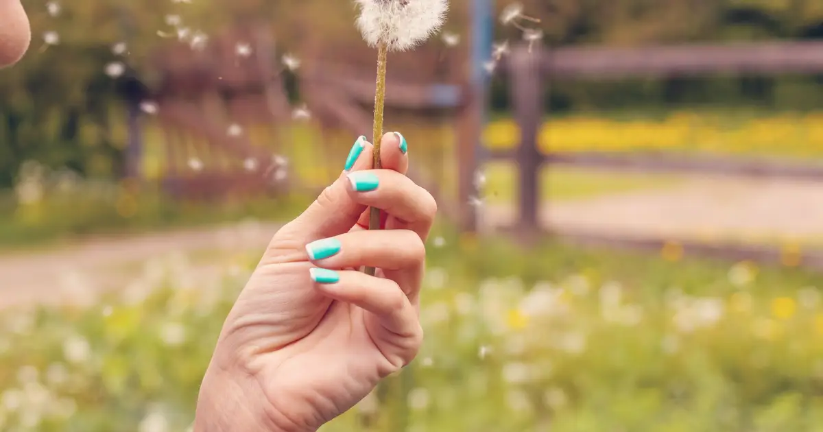 Why Melbourne makes you sneeze in spring