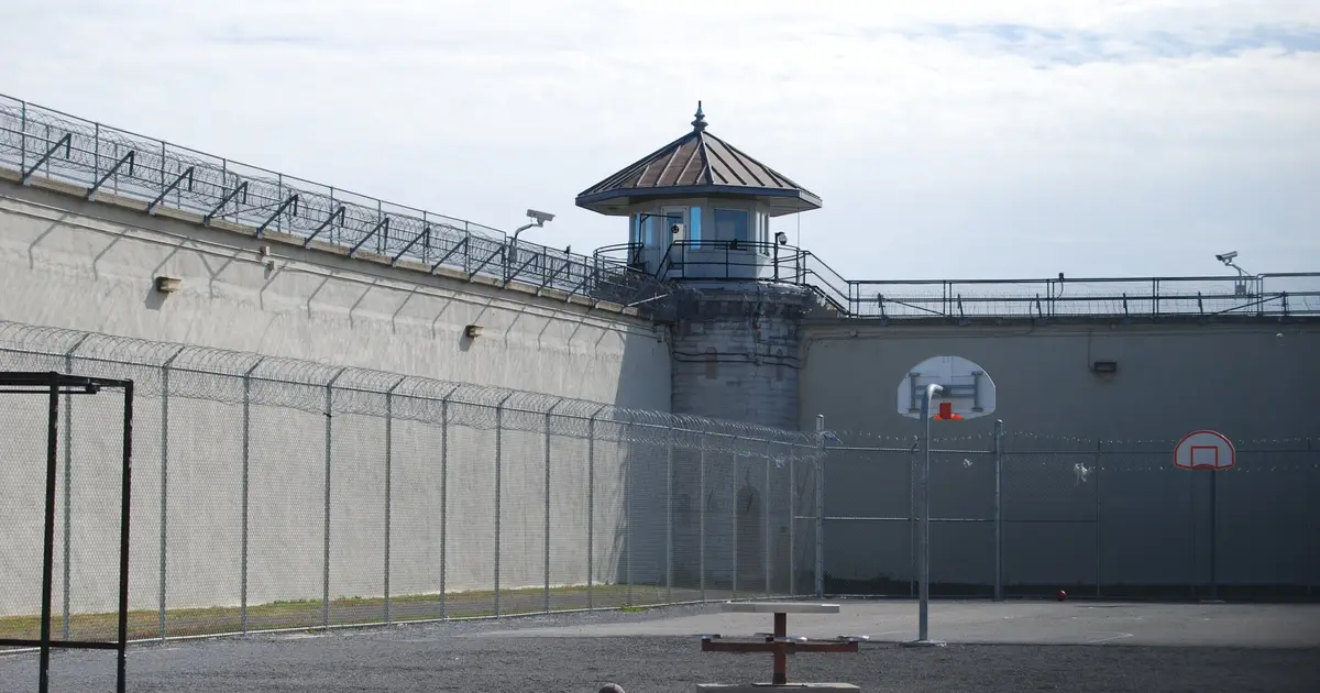 Better recording of prisoner inequalities could help prevent deaths in custody, new study finds