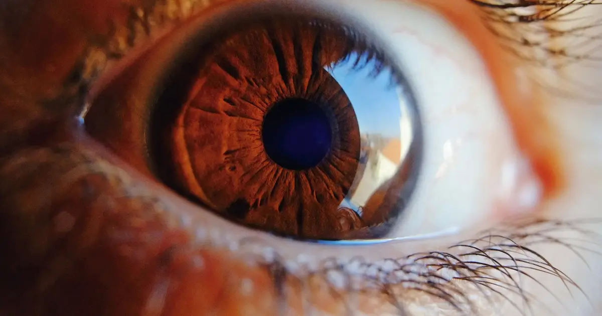 AI estimates retinal age, revealing sex-specific aging patterns and links to disease risk