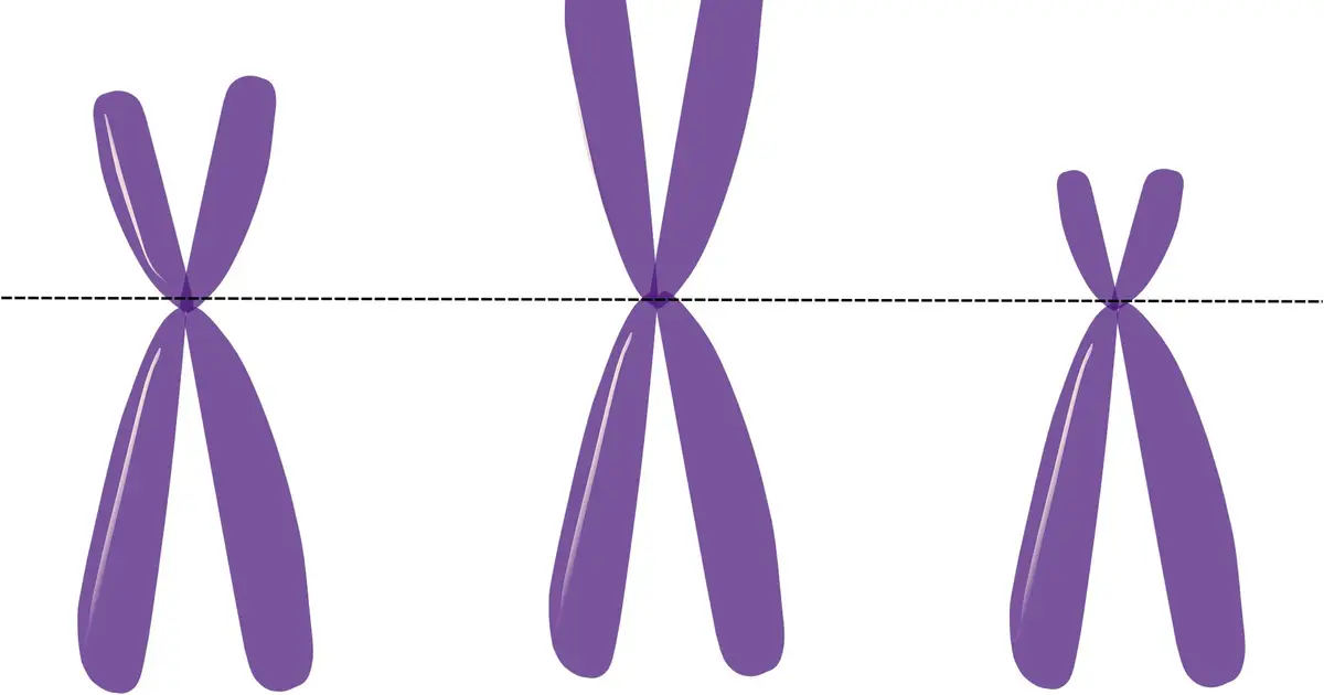 Loss of Y chromosome in men could be an early warning sign of cancer