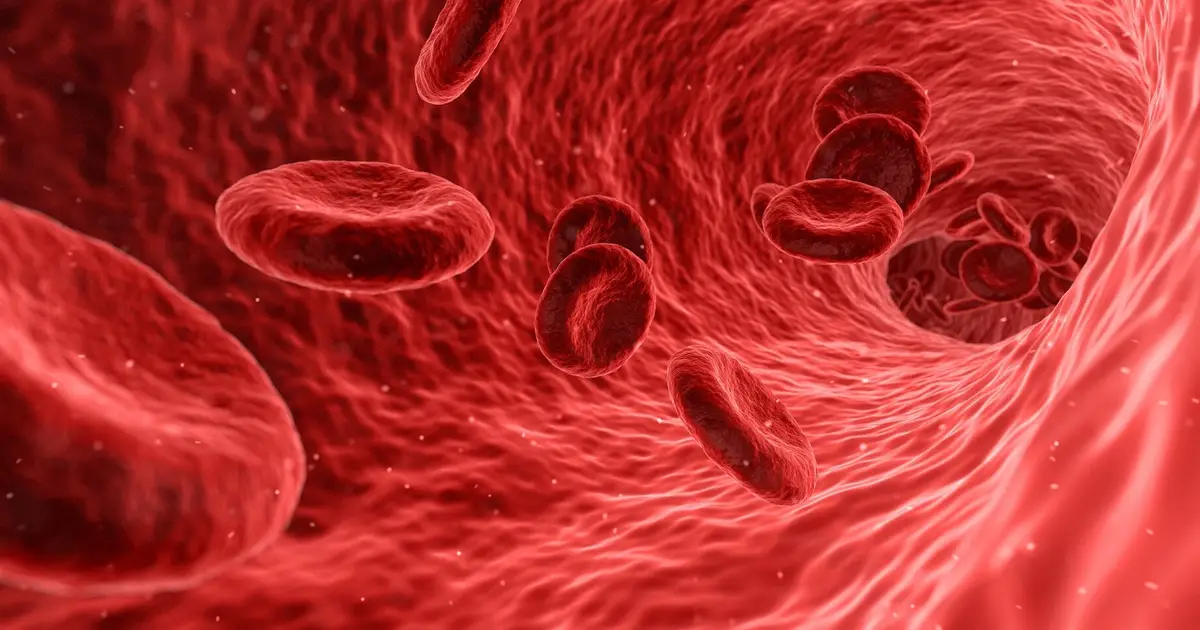 Scientists reveal how blood cells release key signaling lipid