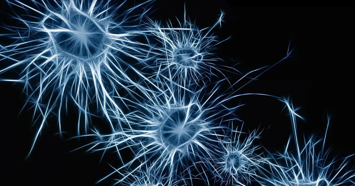 Blocking immune cells' path into the brain limits neurodegeneration