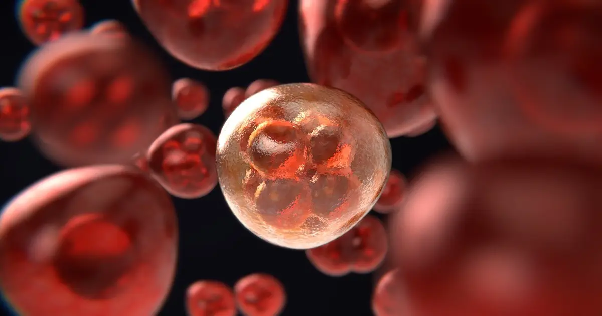 Cancer trial drug may work differently than scientists believed, raising concerns for clinical research