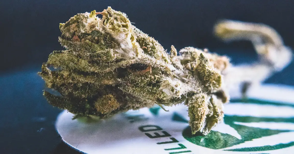 Less cannabis use among adolescents, but social disparities persist