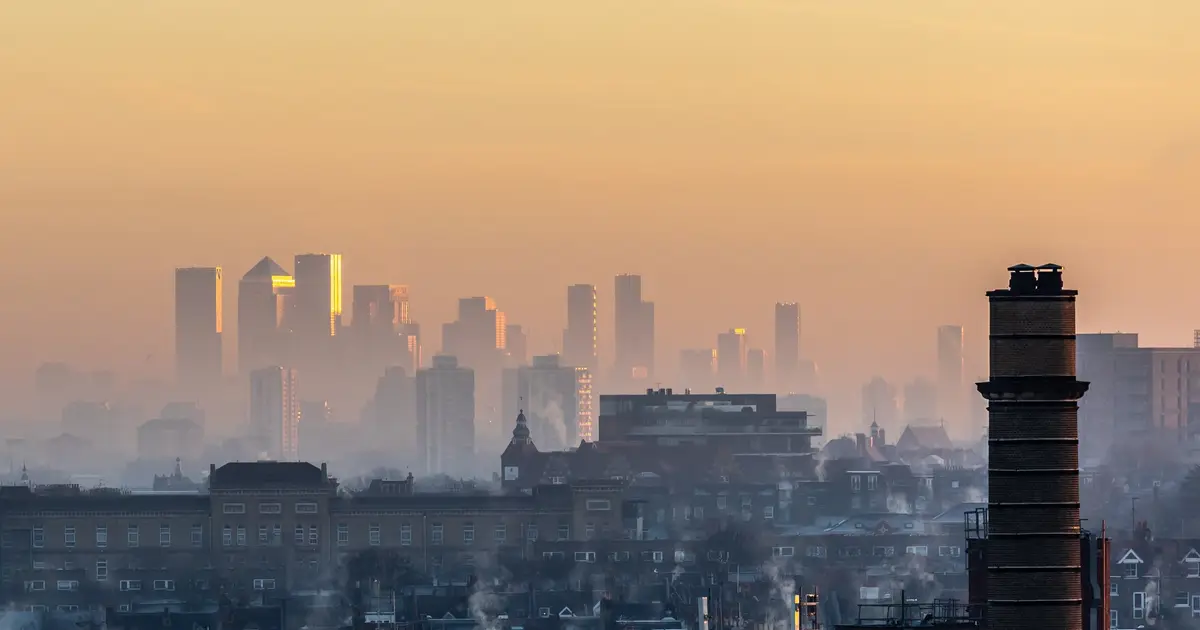 After 80 years, elusive molecules reveal how ozone starts turning plant emissions into haze