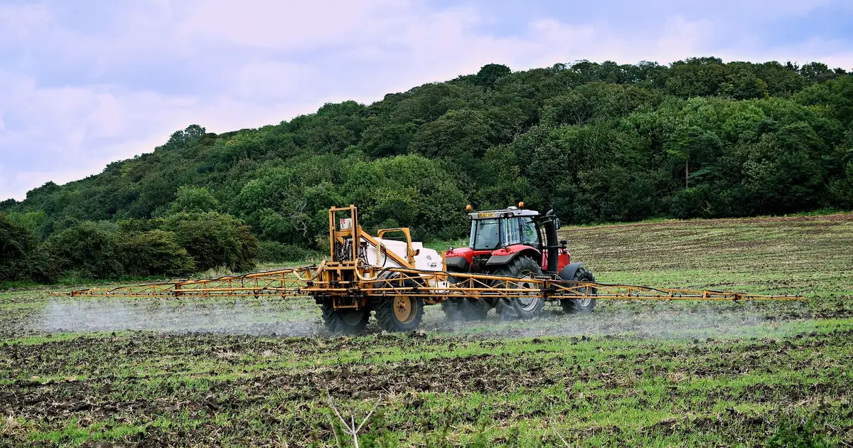 Cheap, effective and dangerous: How Australian farmers came to depend on the toxic weedkiller paraquat