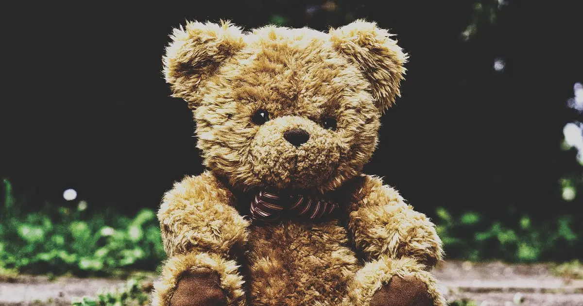 When prepping for disaster, don't forget to pack your teddy bear