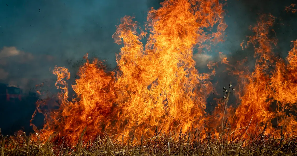 First Nations women in fire: A vital opportunity to boost the workforce and increase community safety