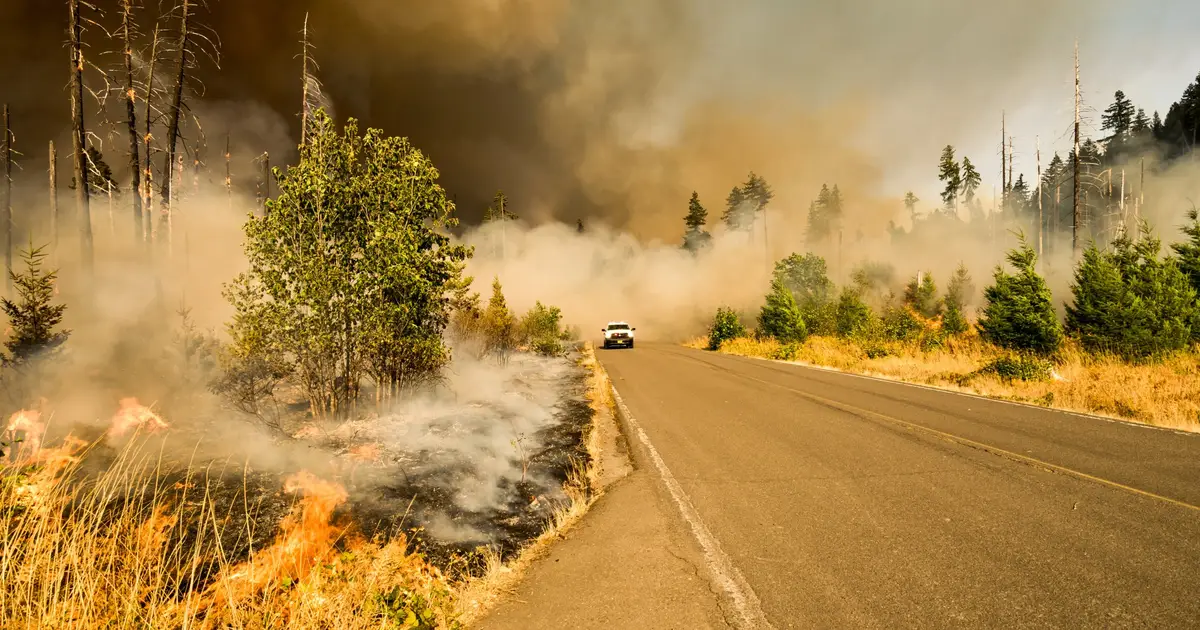 Expert comment: How do wildfires affect health and what can be done about it?