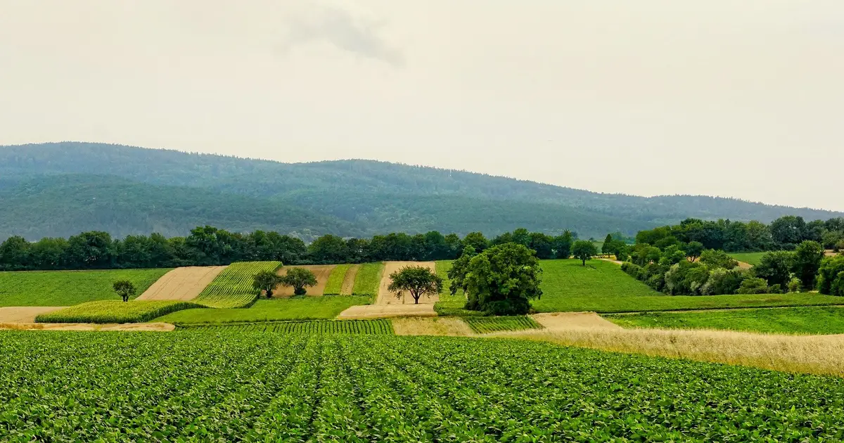 Researchers call for national consortium to battle agriculture cyber threats