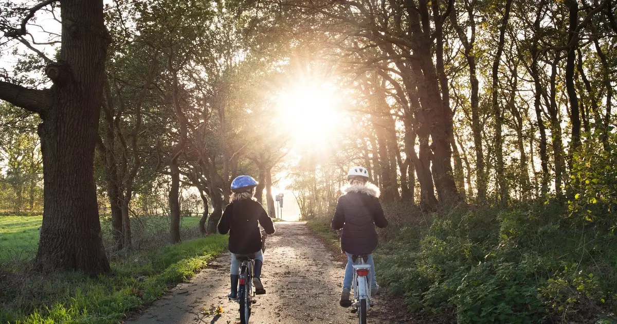 Counting purpose and connection could reveal overlooked benefits of bike paths and parks