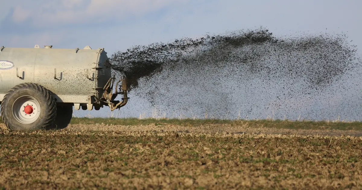 More sustainable agriculture: Recycled fertilizers could be part of the solution