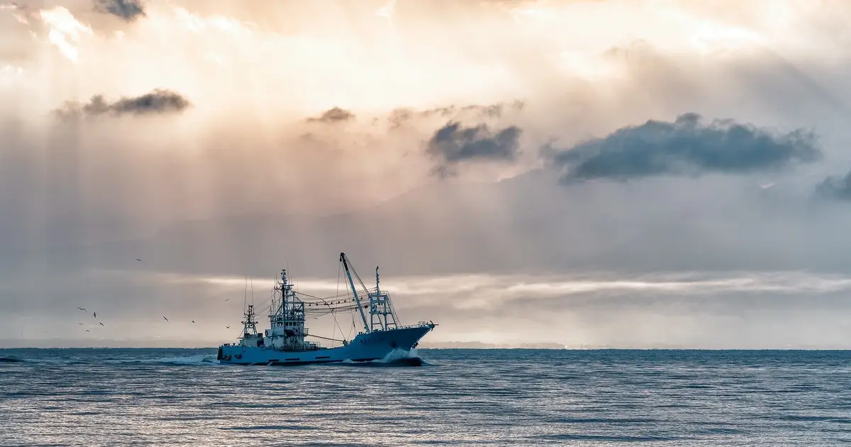 Reeling in labor abuse: Building tools to improve accountability in the fishing industry