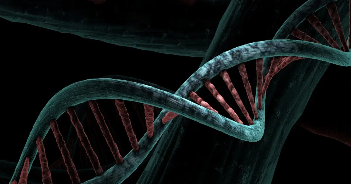 More than 600 schizophrenia-associated genes uncovered by network model