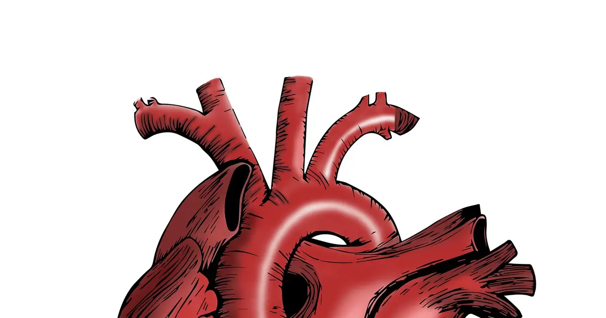 Biological aortic valves linked to better pregnancy outcomes, but more reoperations